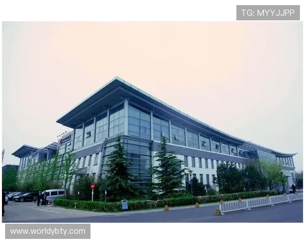 亚博YB数字站：未来数字站点的发展方向与创新思路